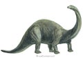 Brontosaurus